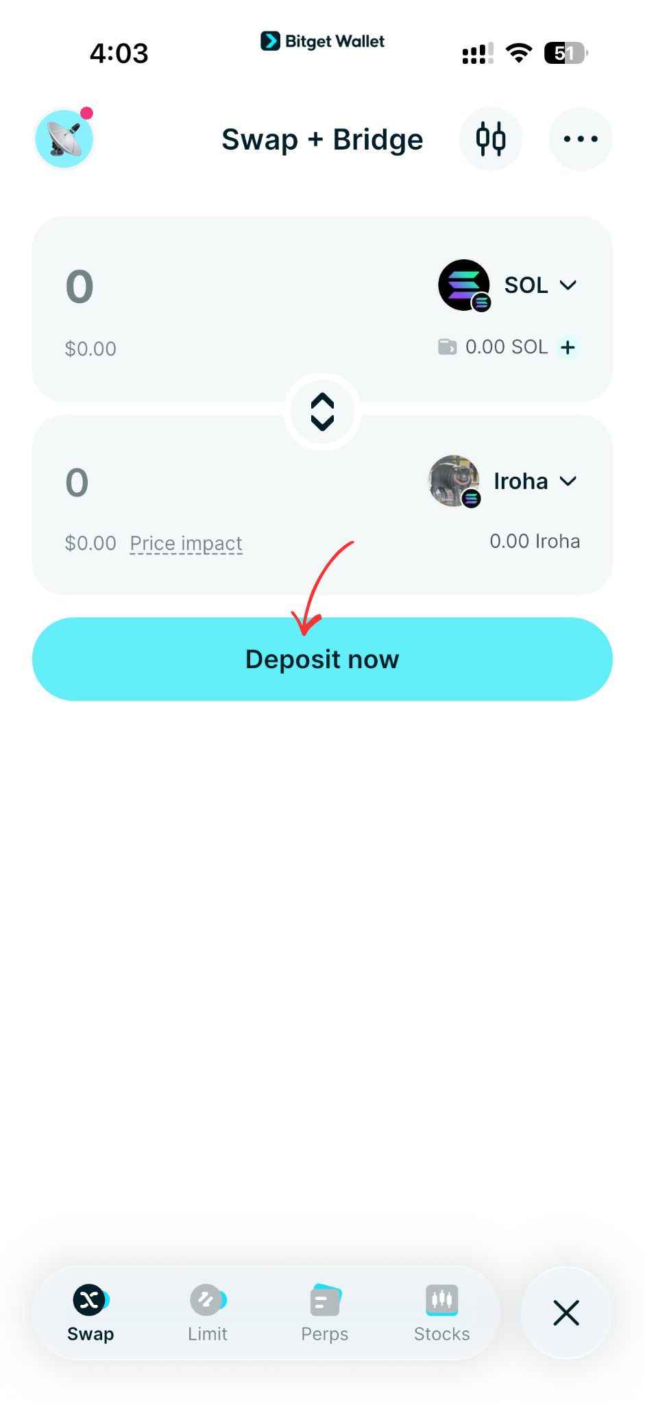 What is Iroha (IROHA): A Solana Memecoin Inspired by Japan’s Baby Hippo Story image 7