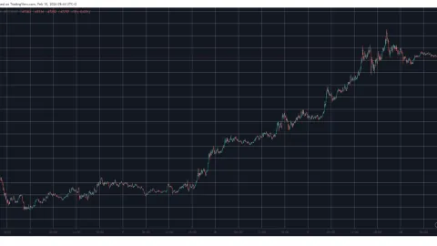 AVAX Soars 9% Daily, SOL Taps $110 as BTC Jumped Above $48K (Weekend Watch)