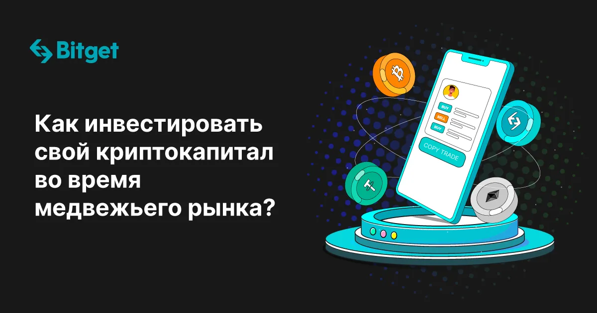Как инвестировать свой криптокапитал во время медвежьего рынка?