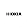 Kioxia Holdings Corp (Derivatives)