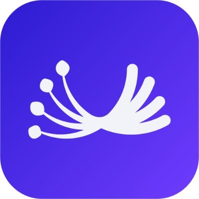 Dill Listing Airdrop Guide: $DL Launch Date! The EVM-Compatible Blockchain for dApps image 5
