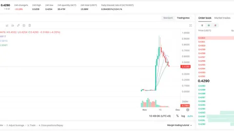 Meta Gorgonite: Tại sao tiềm năng của $ACT vẫn chưa kết thúc