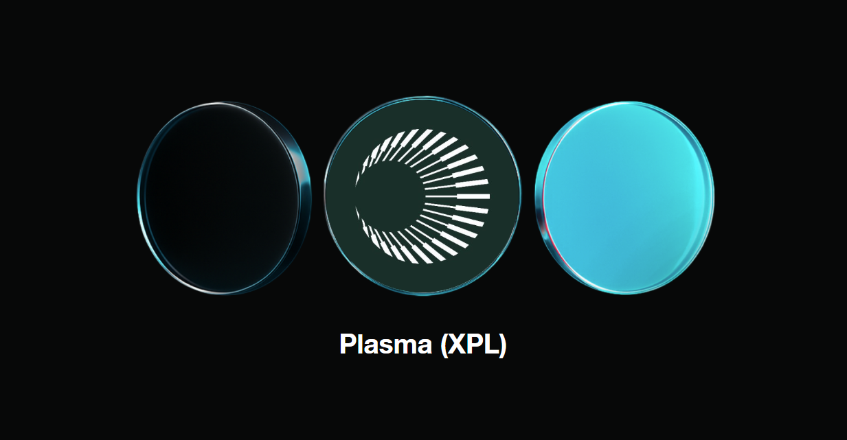 Plasma (XPL): 稳定币支付专用的第一层区块链