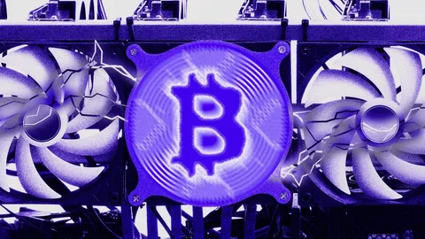 Bitcoin transaction volume skyrockets as the halving approaches and miners cash in