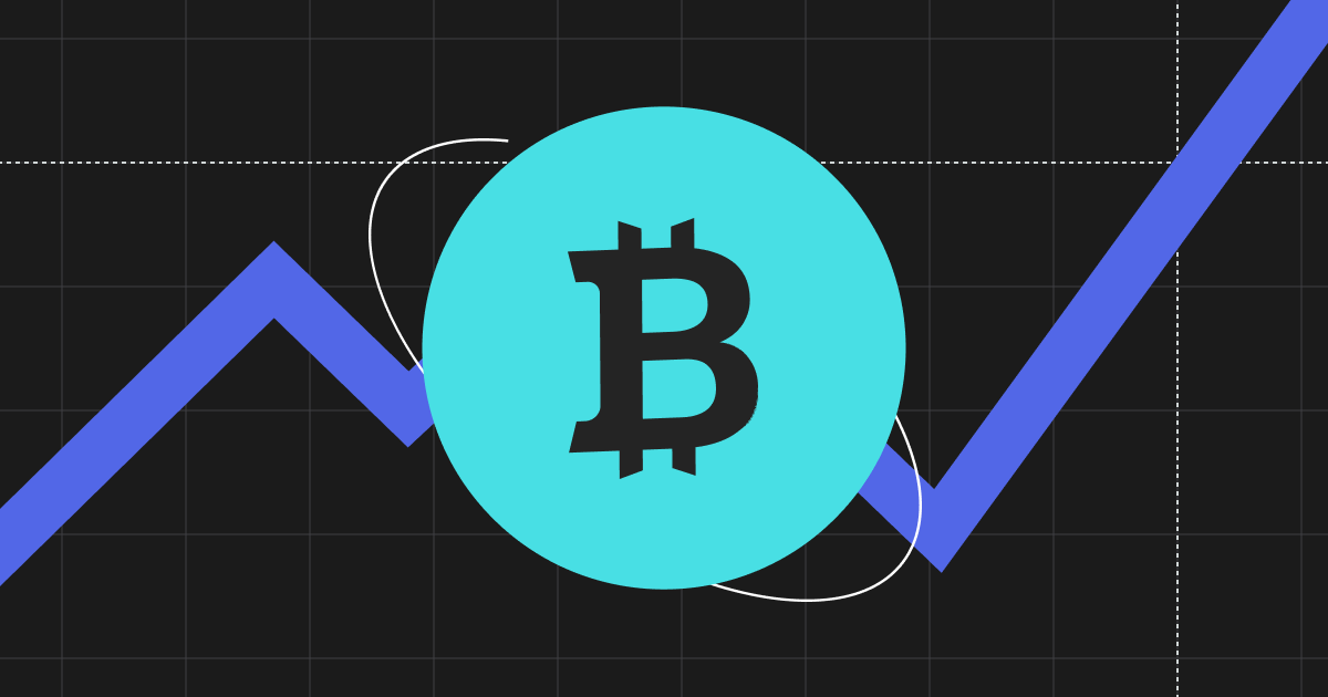 Bitcoin's Price Skyrockets Above $45,000 and Investors Anticipate the Next Halving in May 2024