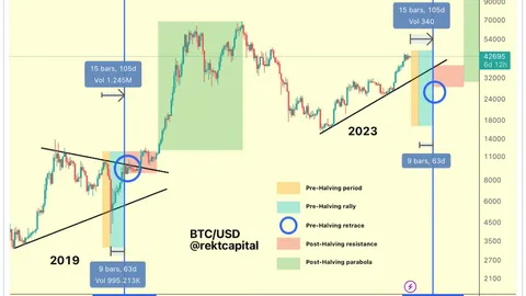 5 Phases of The Bitcoin Halving
