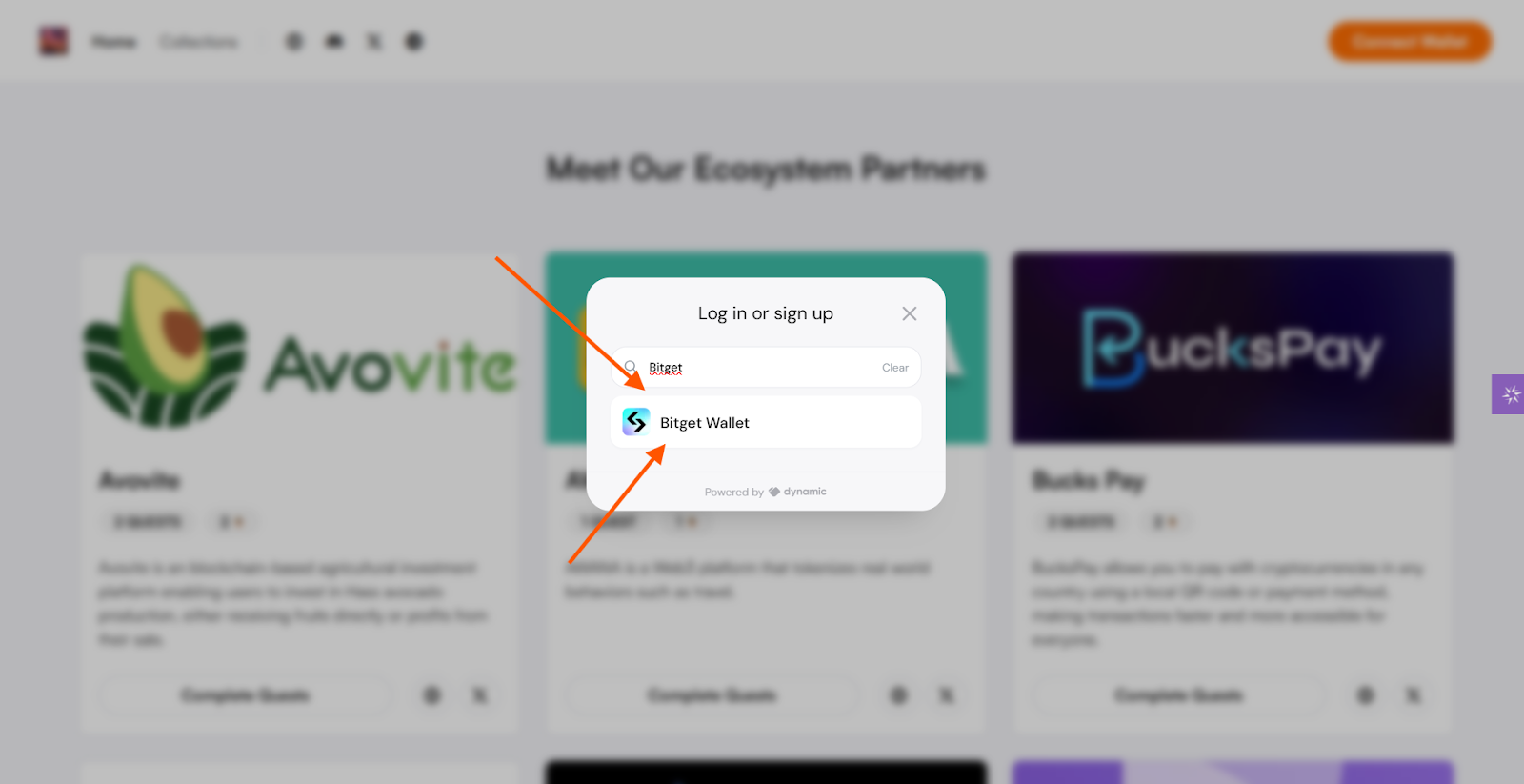 Camp Network Airdrop Guide: How to Participate and Claim $CAMP Rewards? image 3