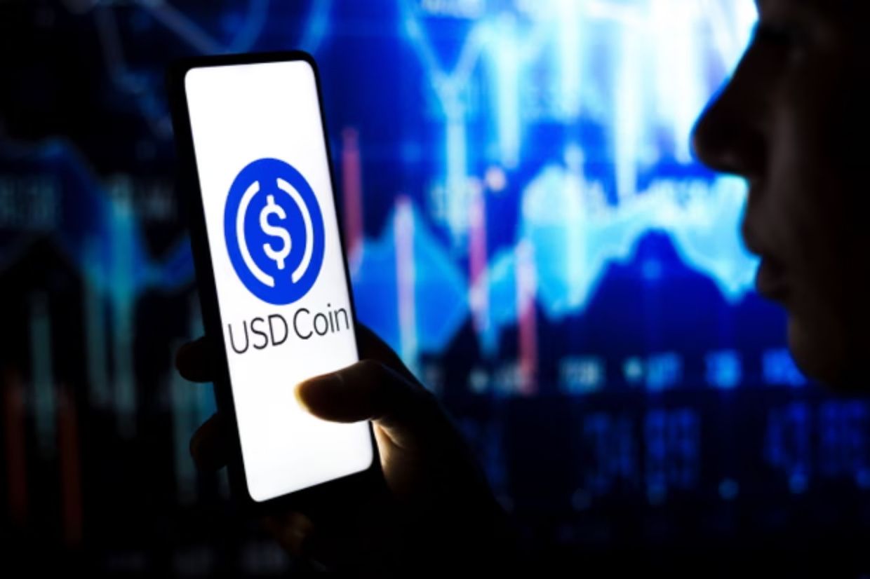 Top Stablecoins by Marketcap in 2025: Which Digital Dollars Are Leading the Market? image 2