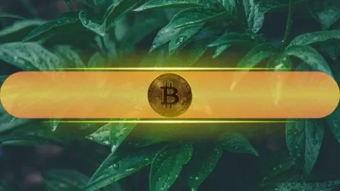 BTC Price Rebounds Despite The Third Day of Outflows for Bitcoin ETFs