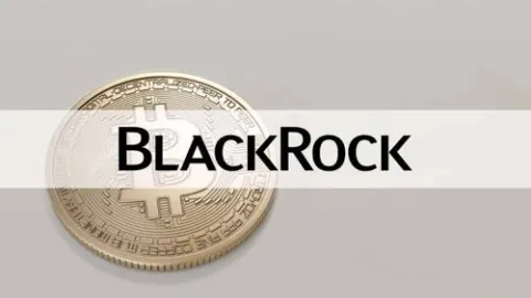 BlackRock Bitcoin ETF Soars to Top 5 in Inflows for 2024