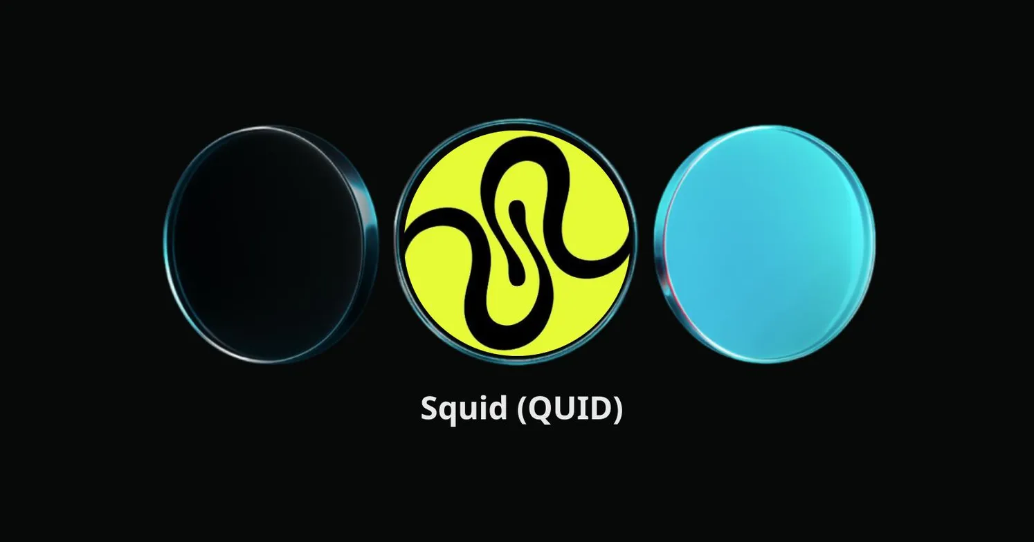 What Is Squid (QUID)? The All-in-One Platform for Cross-Chain Swaps and Bridging