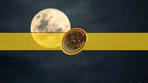 Bitcoin Options Traders Expect More Volatility as Top Strike Price Sits at $50K