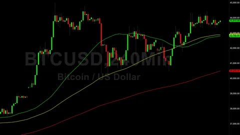 Bitcoin (BTC) Price Analysis: Bulls Seeking Base Above 42230 – 25 December 2023