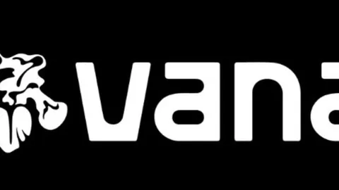 Vana: Empoderando la Soberanía de los Datos, Permitiendo a los Usuarios Obtener Beneficios de los Datos, Análisis del Futuro del Token Central VANA