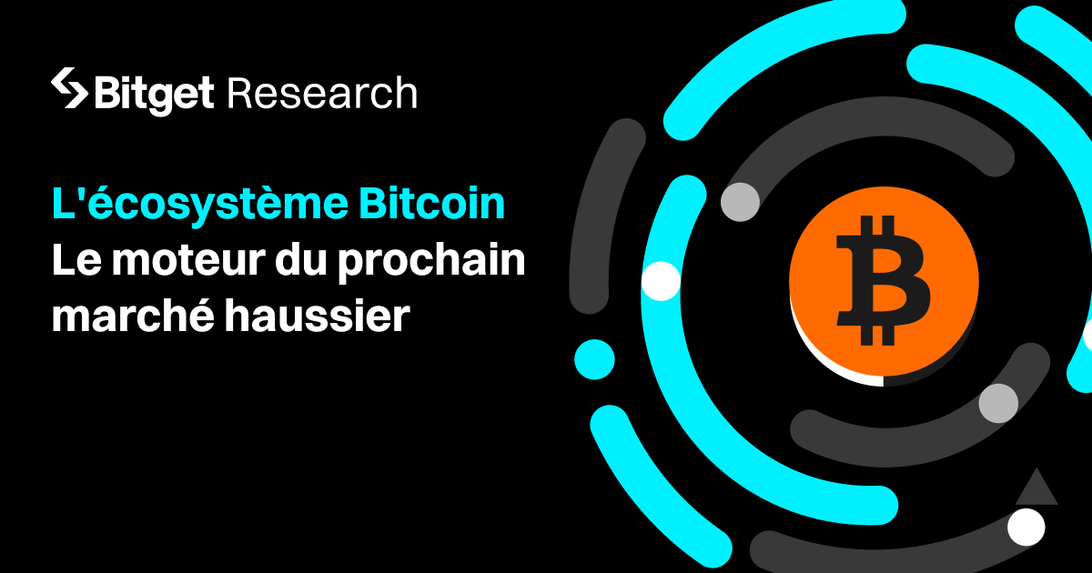 L'écosystème Bitcoin - Le moteur du prochain marché haussier