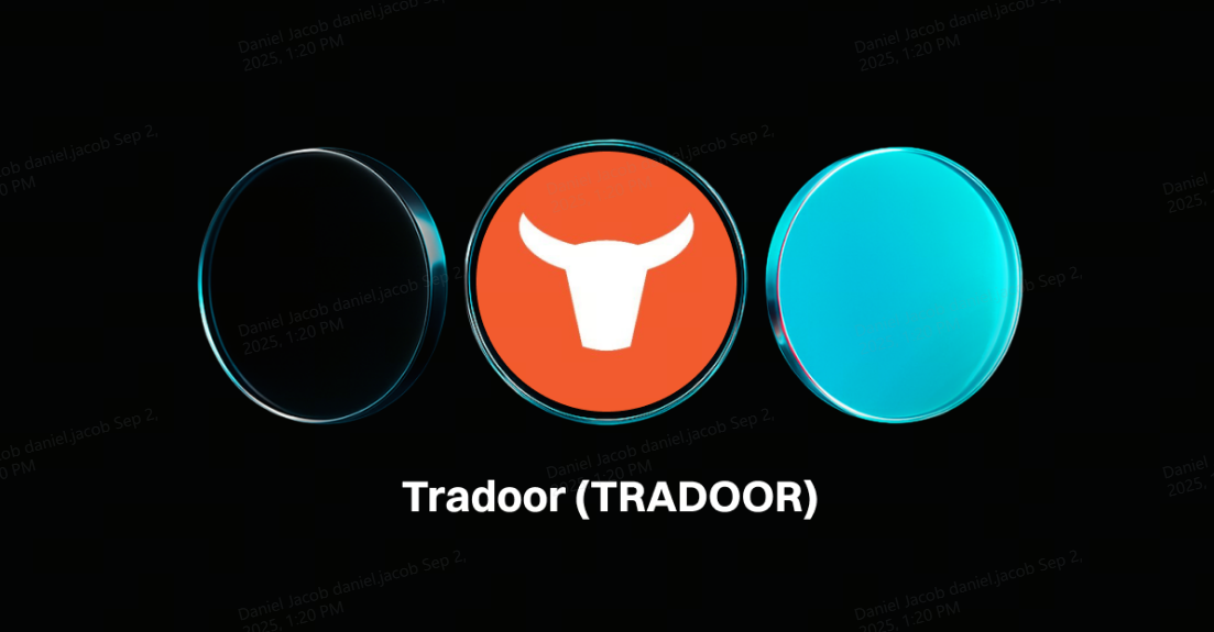 Tradoor (TRADOOR):基于TON的高速去中心化交易平台