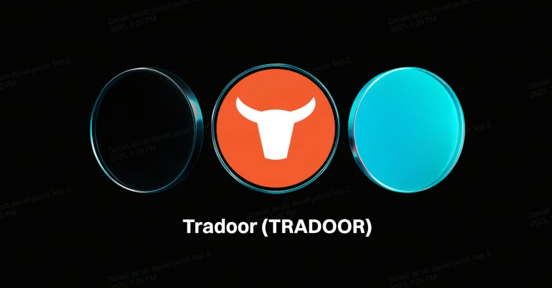 Tradoor (TRADOOR): Nền tảng giao dịch phi tập trung trên TON với khả năng khớp lệnh tốc độ cao