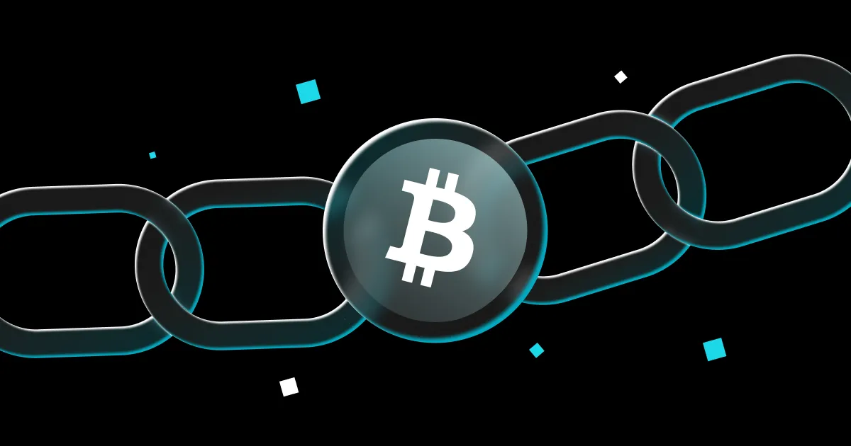 Can You Look Up Bitcoin Wallets? Here’s What You’ll Actually See