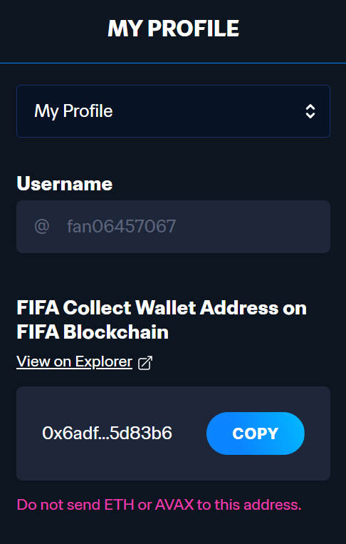 Can I Buy World Cup Ticket with Cryptocurrencies? image 5