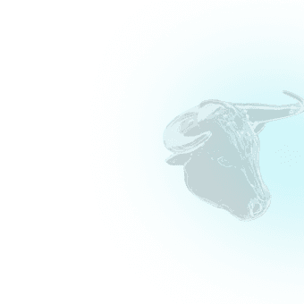 ca83f81fac591c5c9e6beaaa207c5cb2