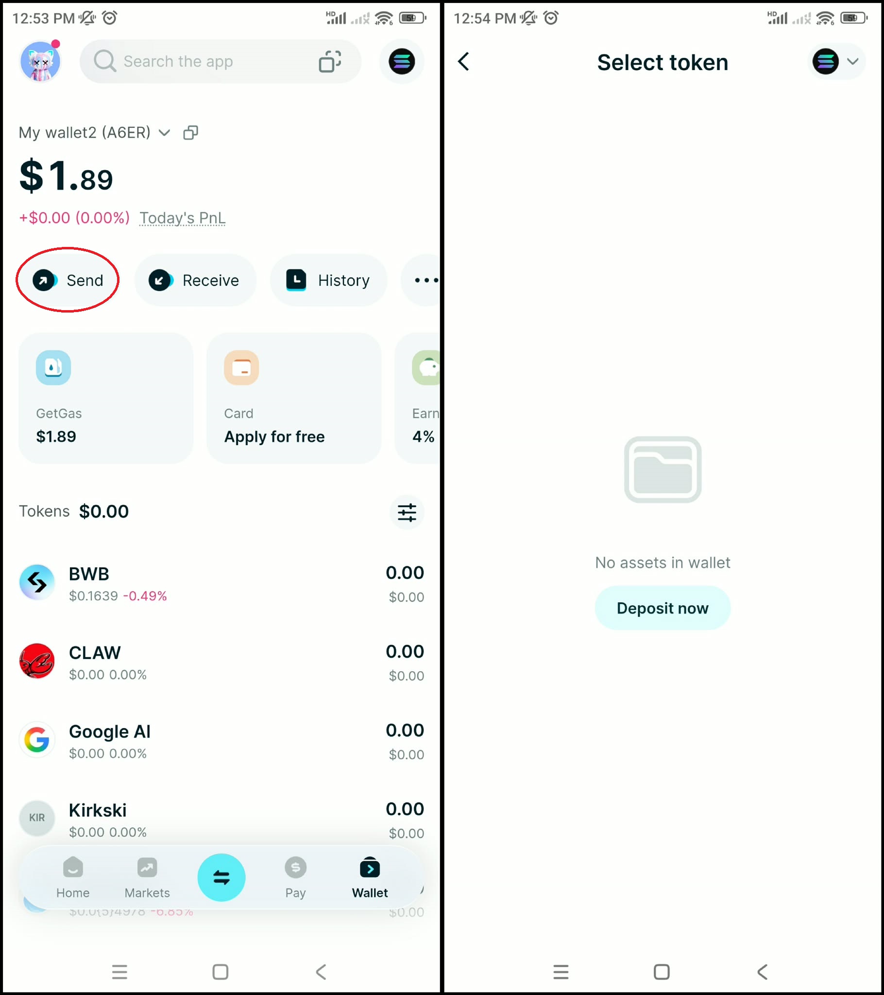 How to Buy ROAR in 2026: A Beginner’s Step-by-Step Guide to Russian Oil Asset Reserve image 9