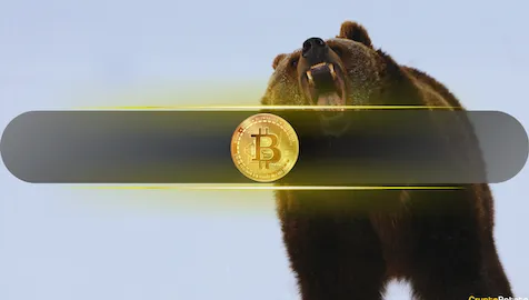 Two Possible Reasons Why the Bitcoin Price Crashes Toward $40K