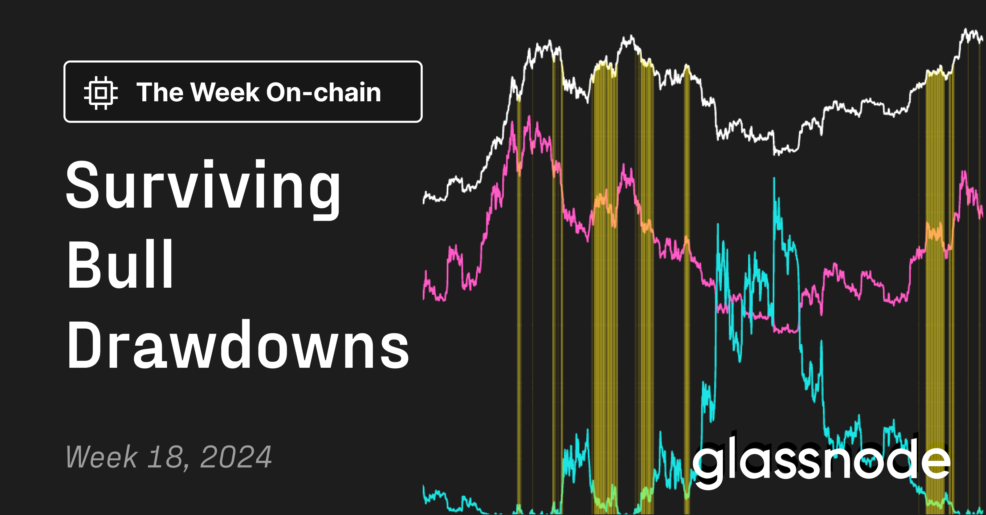 Glassnode insights: Surviving Bull Drawdowns