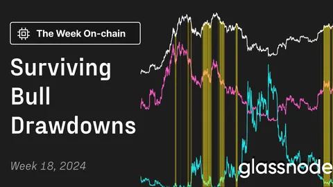 Glassnode insights: Surviving Bull Drawdowns