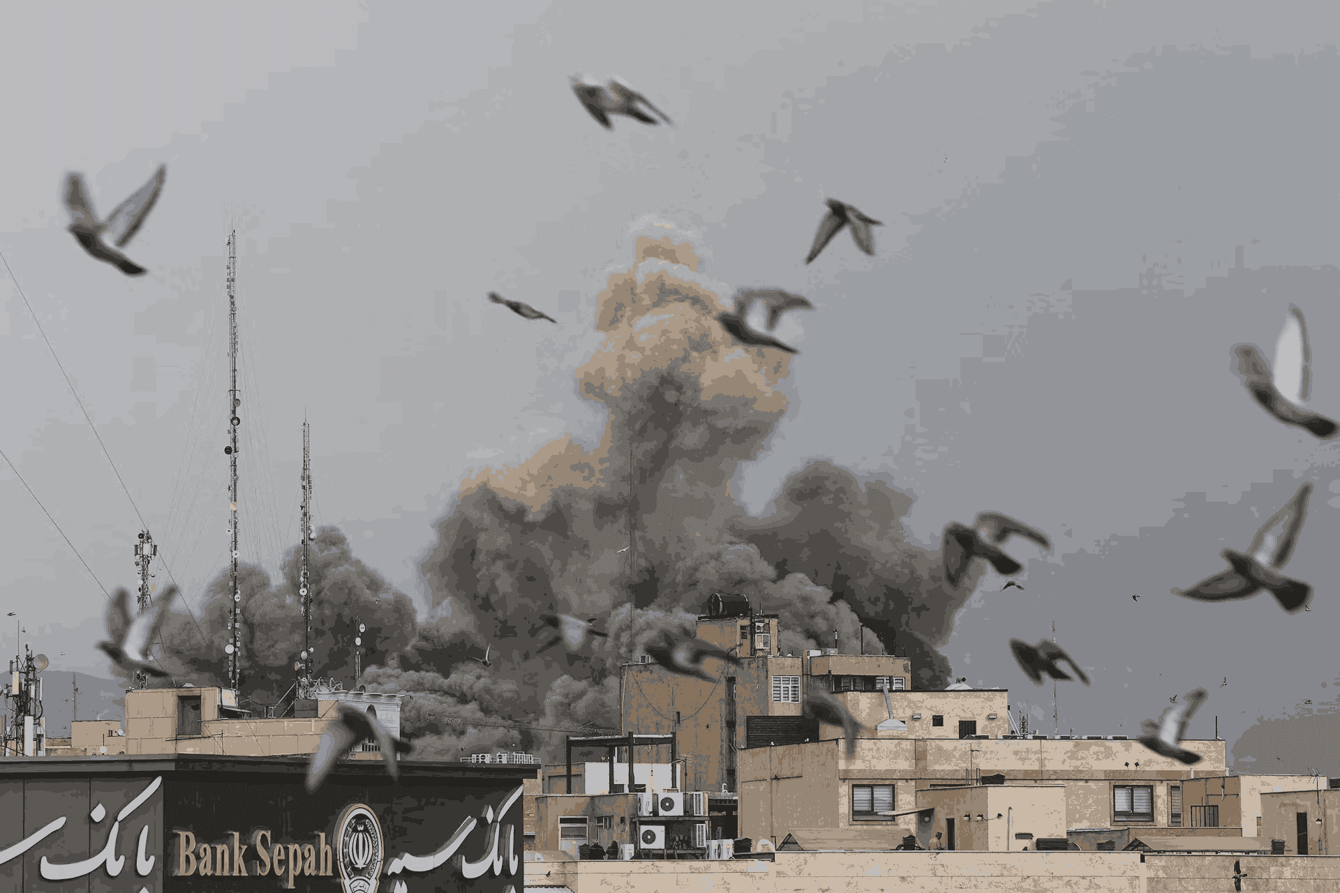 What Is Nuclear war is bad for Kittens (KITTENS): The Solana Memecoin Reflecting US-Iran Geopolitical Tension image 2