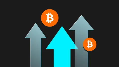 Bitget Research: Bitcoin tiếp tục tăng vượt 66,000 USD, lĩnh vực Memecoin tăng trưởng đáng kể