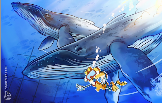 Bitcoin whales refuse to sell while BTC price ditches $70K 'euphoria'