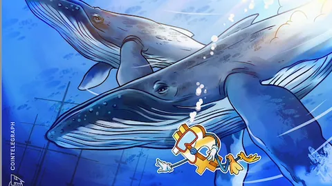 Bitcoin whales refuse to sell while BTC price ditches $70K 'euphoria'