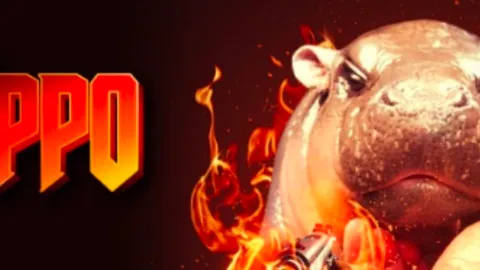 Focando no tráfego do Web2 Hippo, uma visão geral da análise do projeto SUI chain $HIPPO