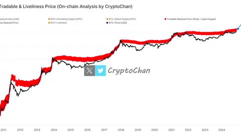 El precio de Bitcoin se acerca a la zona de advertencia roja, y el "mercado alcista loco" podría estar en camino