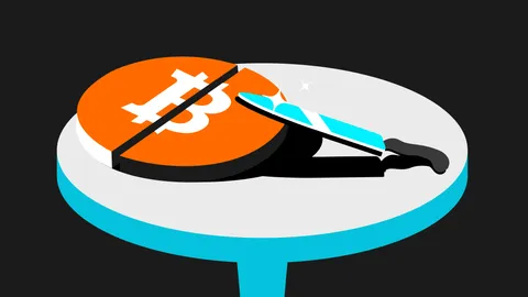 What to Expect and Prepare for Bitcoin Halving 2024 as An Investor