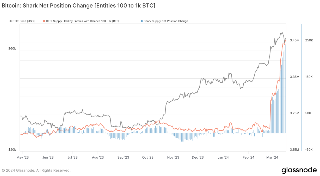 Bitcoin 'dumb money sells' as whales, sharks add 328K BTC in a month image 1