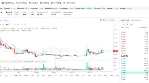 Liệu FTX của Solana có khởi động lại không? Liệu BNB Chain có trở lại làm vua dưới hiệu ứng cá trê không?