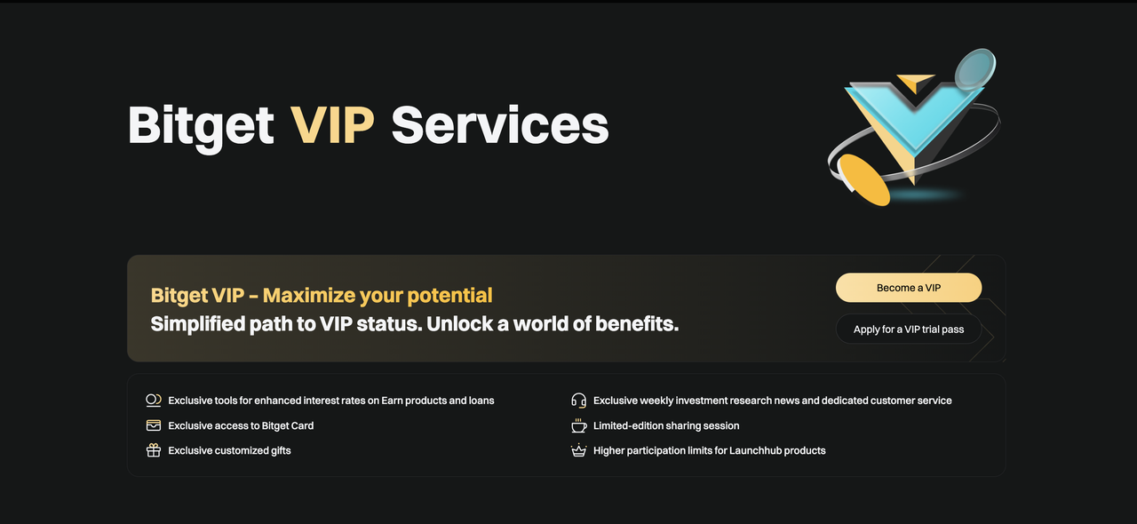 What is the Bitget VIP Program？ image 2