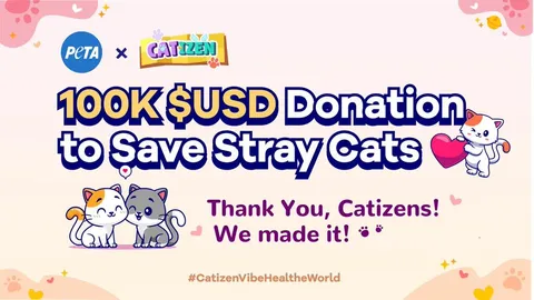Catizen fez uma doação de 100 mil dólares para proteger e salvar gatos, recebendo a atenção e ação que merecem