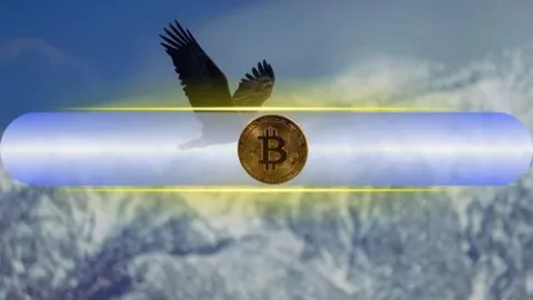 Tom Lee Reveals What Will Drive Bitcoin’s Price to $150,000