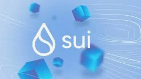 Aptos 相比 Sui 有何差異化優勢?