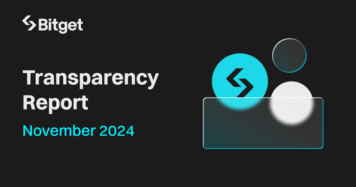 Monthly Transparency Report November 2024