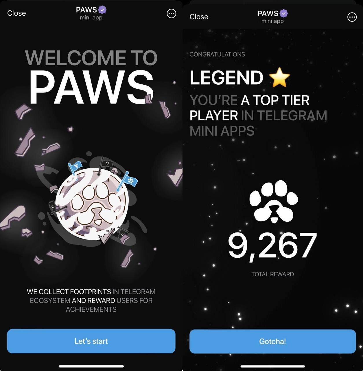 PAWS Telegram Mini App: Airdrop, Listing Date, and What Investors Need to Know image 0