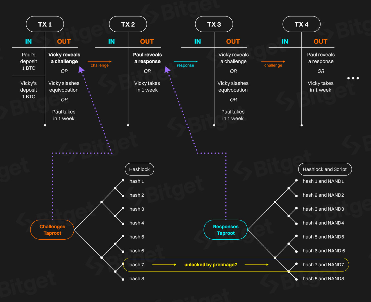 Bitget研究院：深度解析比特币生态，下一轮牛市的发动机 image 16