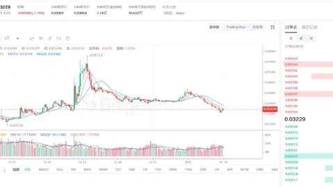 Analyse approfondie de la tendance DBR : l'ajustement n'est pas terminé, des points clés longs et courts ont émergé