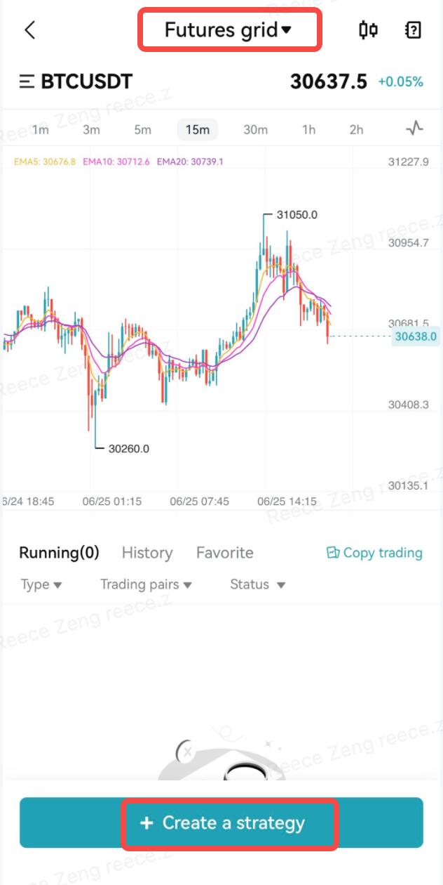 Futures Grid Tutorial image 6