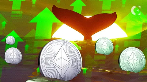 Are Whales Accumulating Ethereum? On-Chain Platform Shares Data
