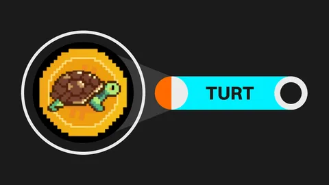 What is Turtsat (TURT)?