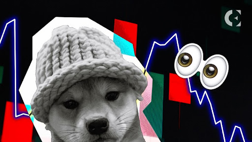 Dogwifhat (WIF) Plummets Over 12% in Market Downturn, Eyes Rebound