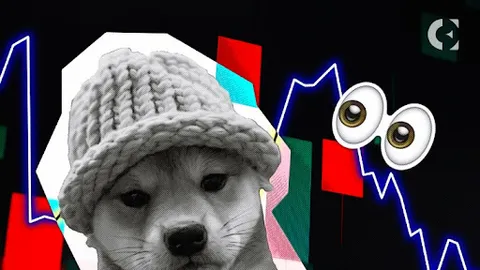 Dogwifhat (WIF) Plummets Over 12% in Market Downturn, Eyes Rebound